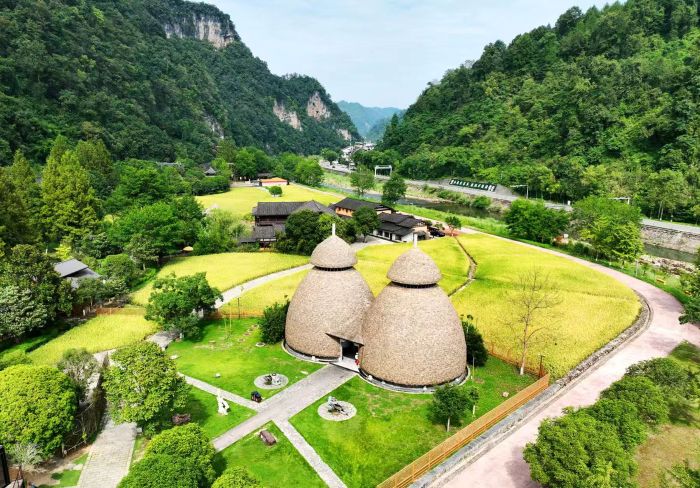 张家界黄龙洞景区稻谷金黄瓜果香，田园秋色醉游人